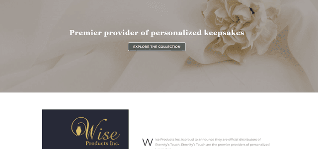 Wise Products - Products